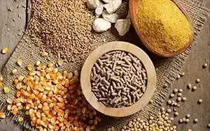 صنعت دام و طیور رایکا تجارت دیبا