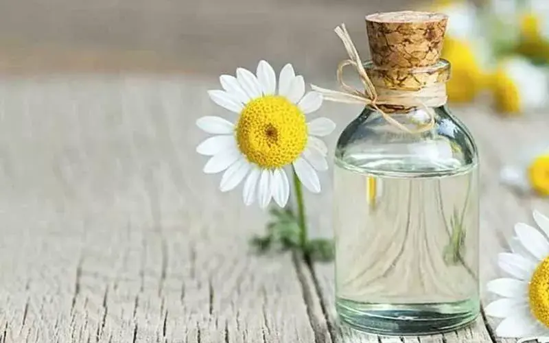 بیزابولون