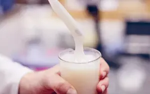 چسب نشاسته