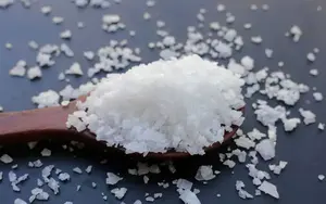 سود سوزآور