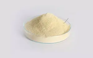آمینو اسید